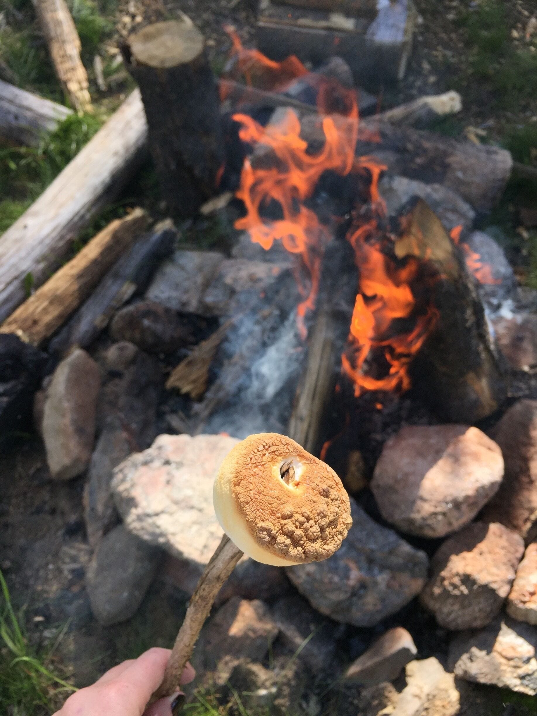 I ate so many marshmallows. #meadowcreek #colorado #camping