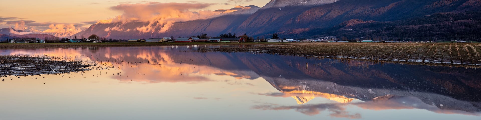 Panoramic Sunset Reflection of Mount Cheam Over Fraser Valley Farmland, Chilliwack British Columbia