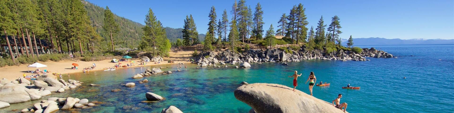 A rocky shoreline with clear turquoise water, a sandy beach, and a forested area with tall trees.