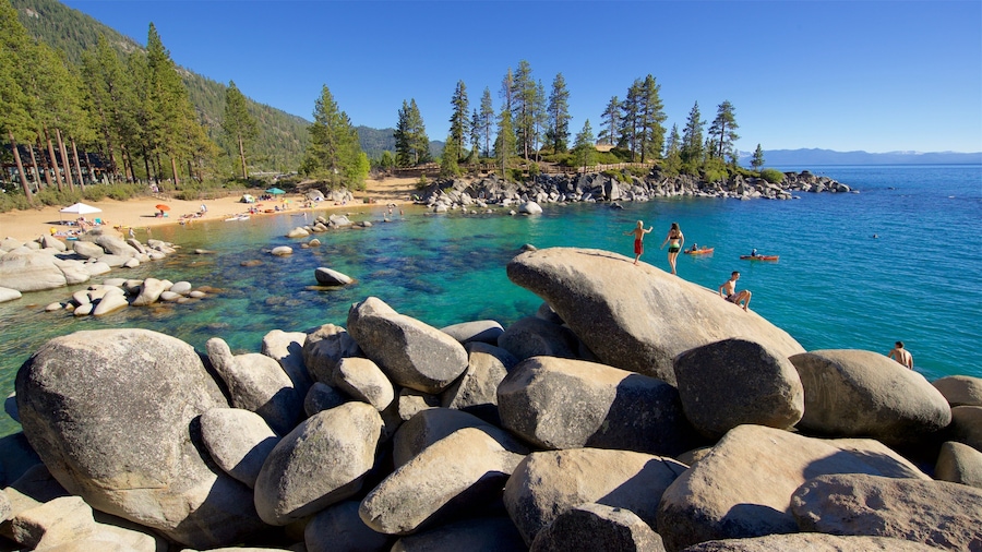 A rocky shoreline with clear turquoise water, a sandy beach, and a forested area with tall trees.