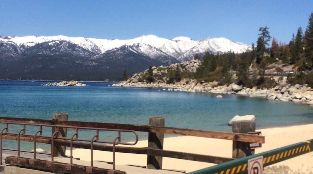 Nature at Tahoe Blvd