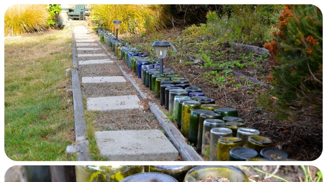 They started to decorate their garden with empty bottles of wine about 6 months ago and look what happened inside. The bottles became little terrariums. Awesome!