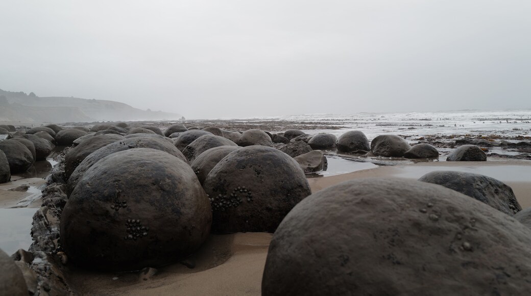 Bowling Ball Beach in Northern California in winter