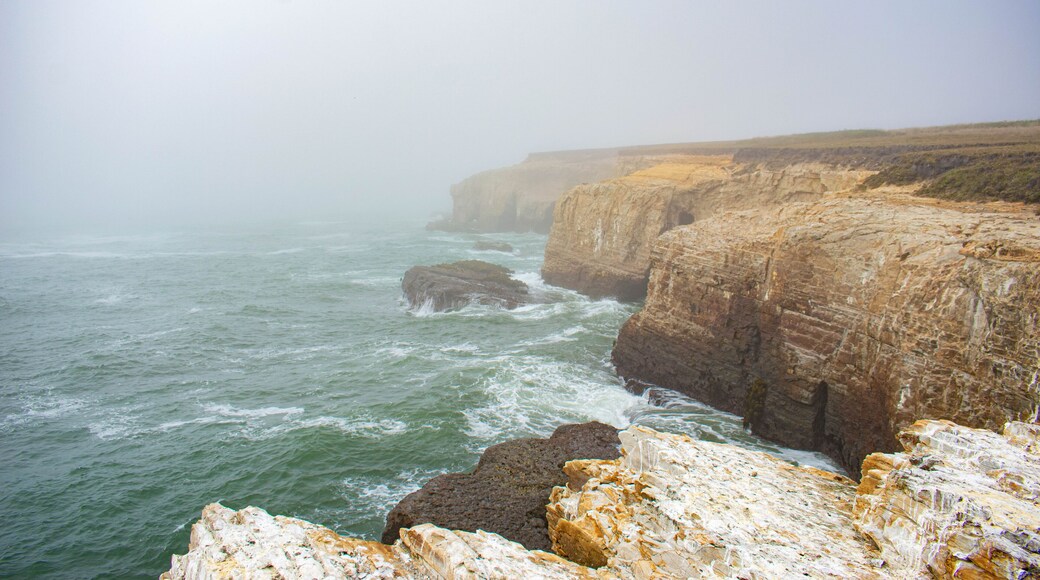 Misty Coast