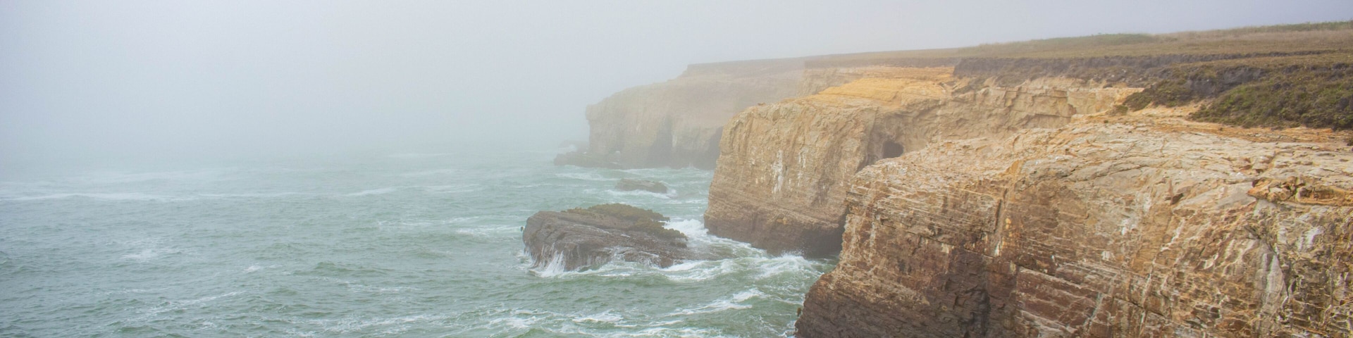 Misty Coast