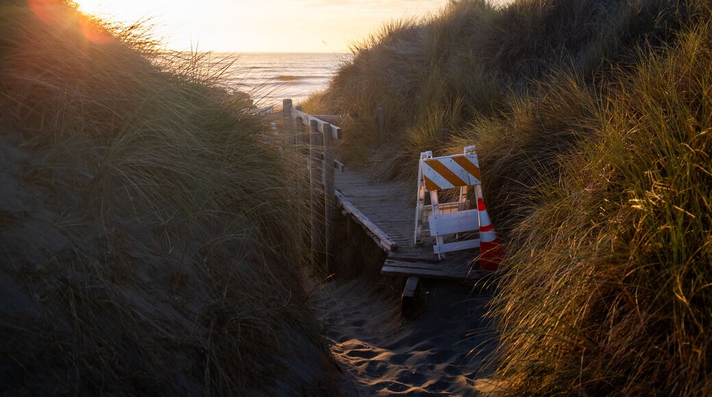 Hazard signs block boardwalk leading to beach during golden sunset