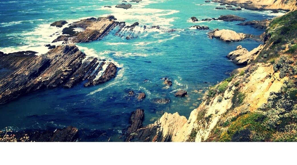 A beautiful, short walk on the cliffs near the lighthouse.