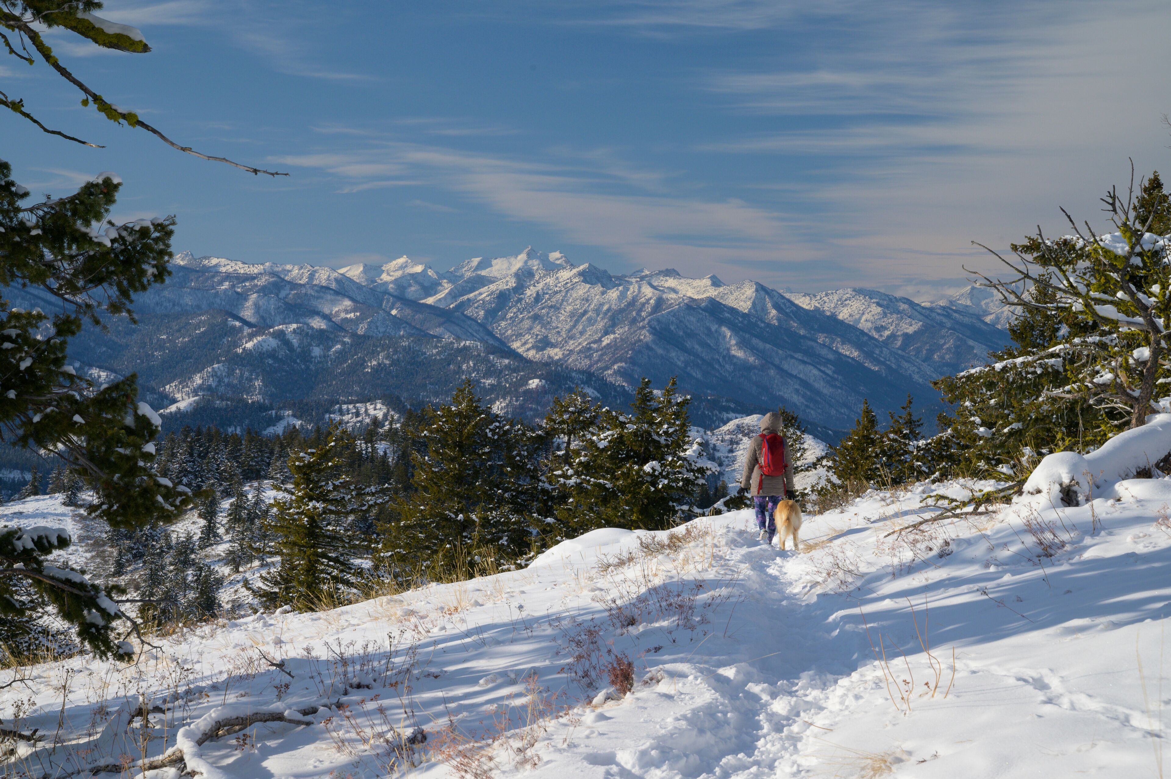 Female Hiking Through The Snow Covered Mountains With Dog