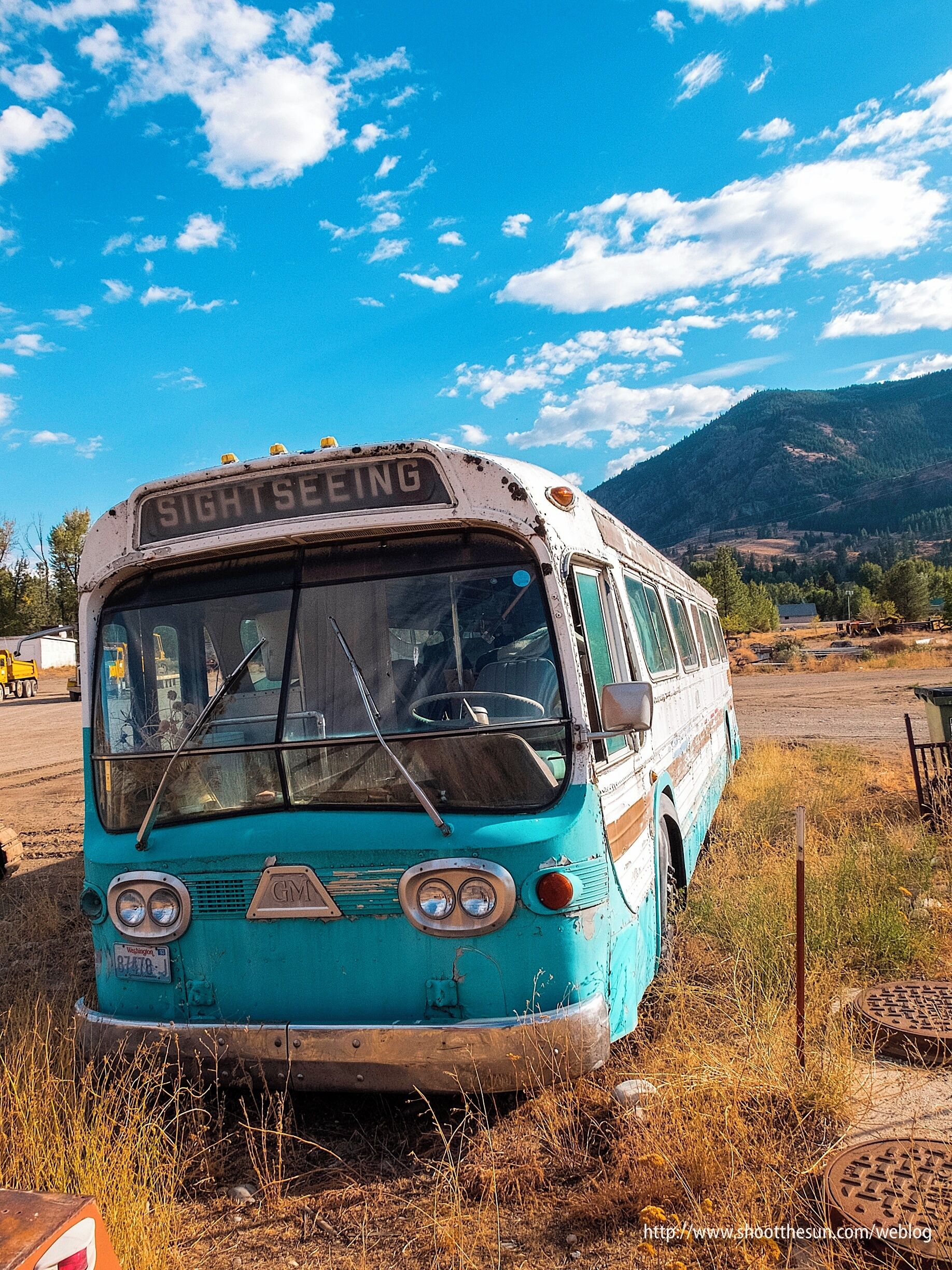 This is on the way to Twisp by a gas station on Highway 20.

And about as incongruous a sight as a delivery truck hoisted up on poles and stuck in the air.