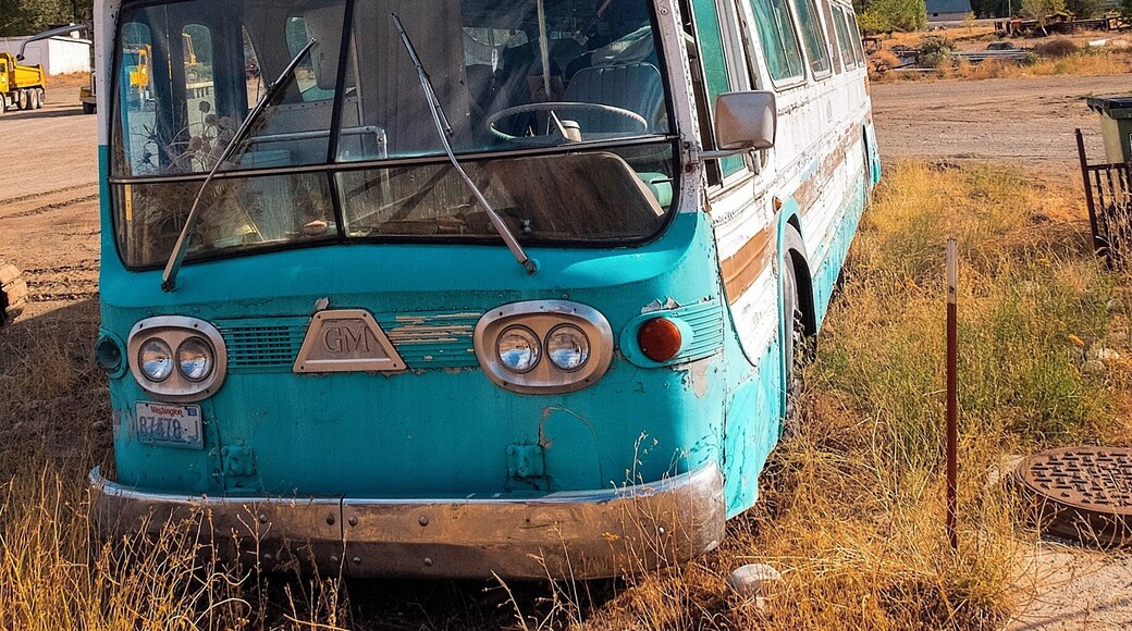 This is on the way to Twisp by a gas station on Highway 20.
And about as incongruous a sight as a delivery truck hoisted up on poles and stuck in the air.