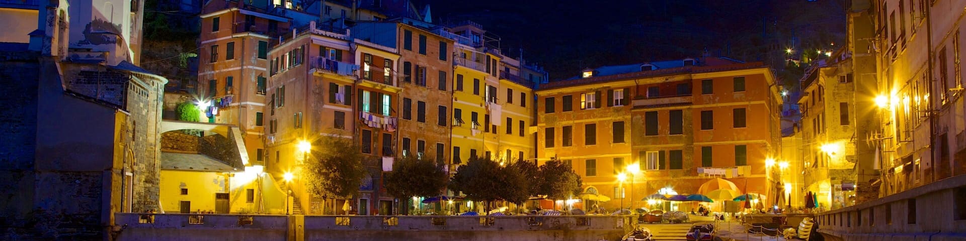 Vernazza showing night scenes and a coastal town