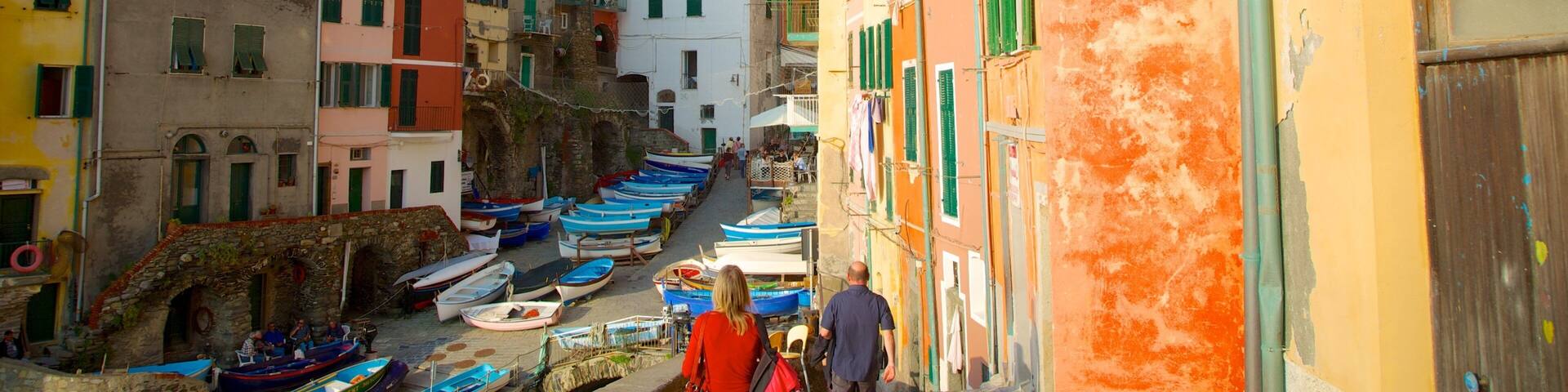 Riomaggiore showing a small town or village
