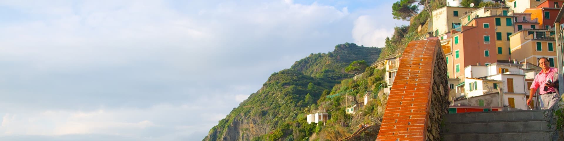 Riomaggiore mettant en vedette ville cĂŽtiĂšre et vues littorales