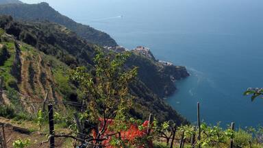 Eine Küstenlandschaft mit terrassierten Weinbergen, einer Siedlung an der Klippe und freiem Blick auf das Meer.