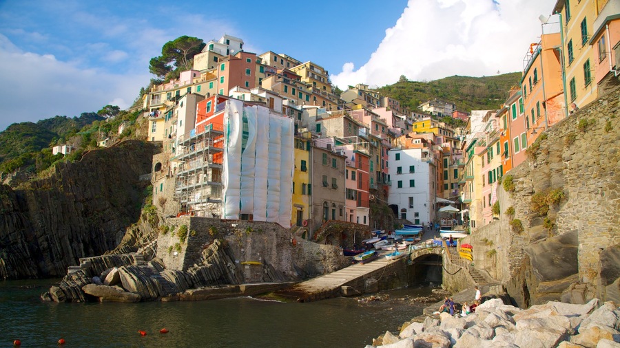 Riomaggiore showing a coastal town and rocky coastline