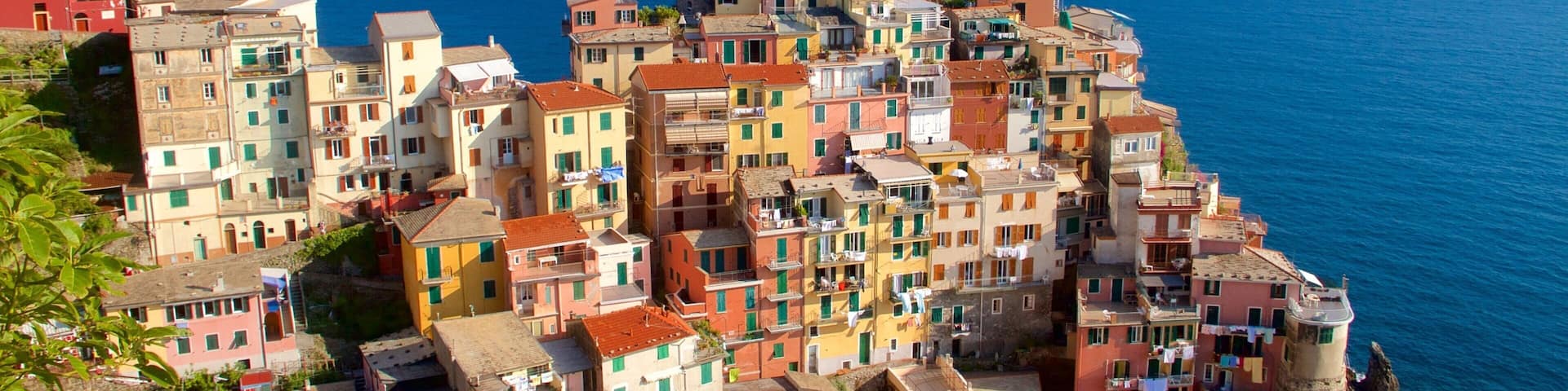 Manarola featuring general coastal views and a coastal town