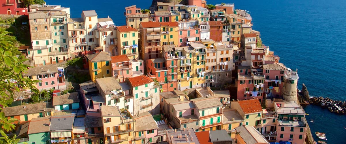 Manarola featuring general coastal views and a coastal town