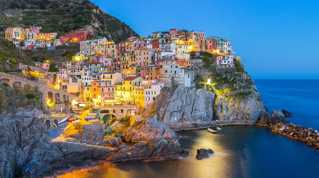 Manarola village one of Cinque Terre at night in La Spezia, Italy