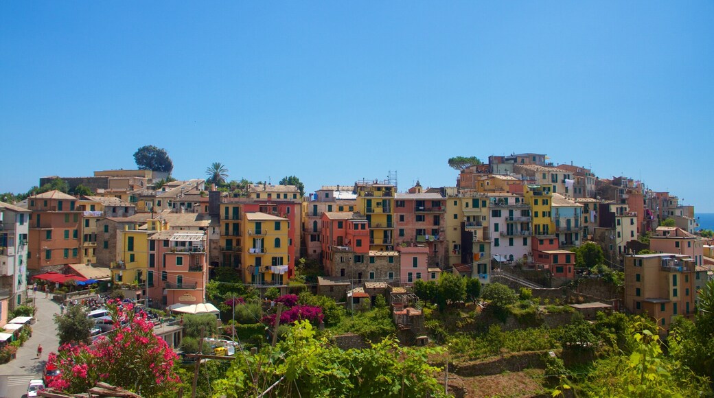 Corniglia featuring a coastal town and general coastal views