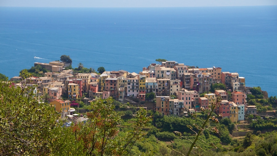 Corniglia showing general coastal views and a coastal town