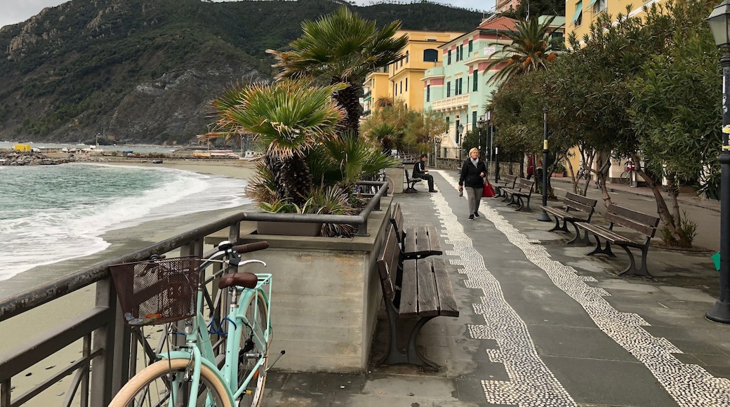 Beautiful day in Monterosso