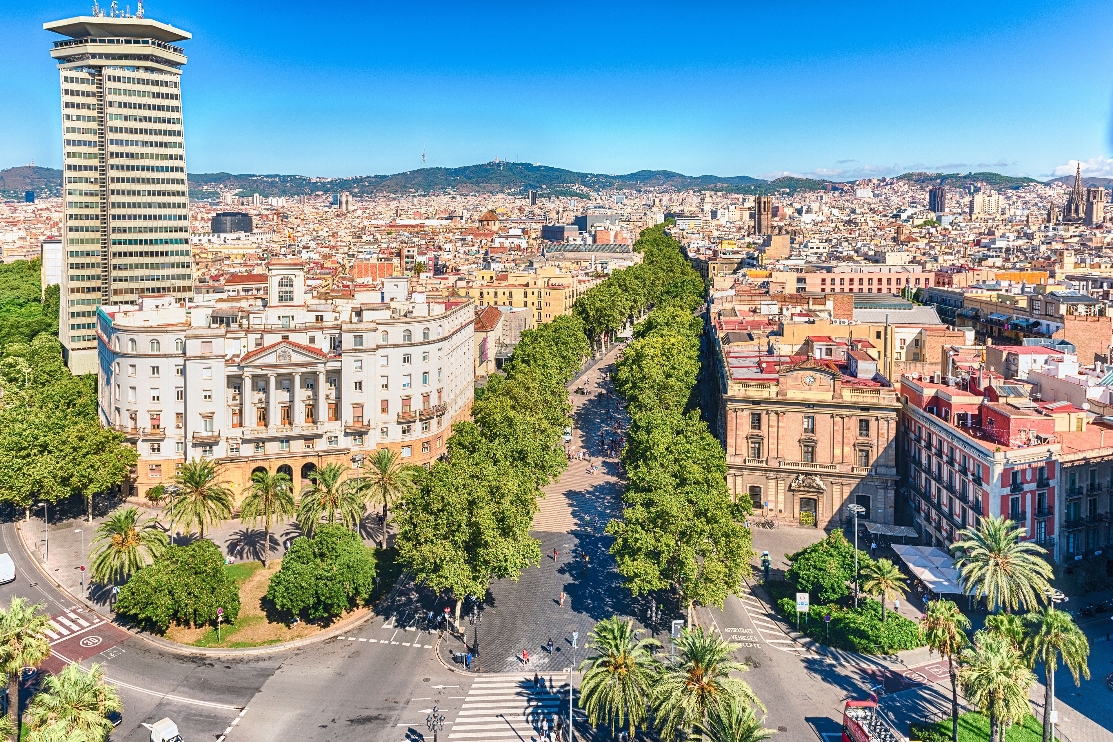 A cityscape with a prominent curved building, a tall tower, and a tree-lined avenue.
