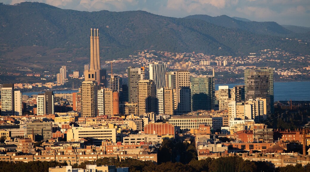 Barcelona which includes landscape views and a city