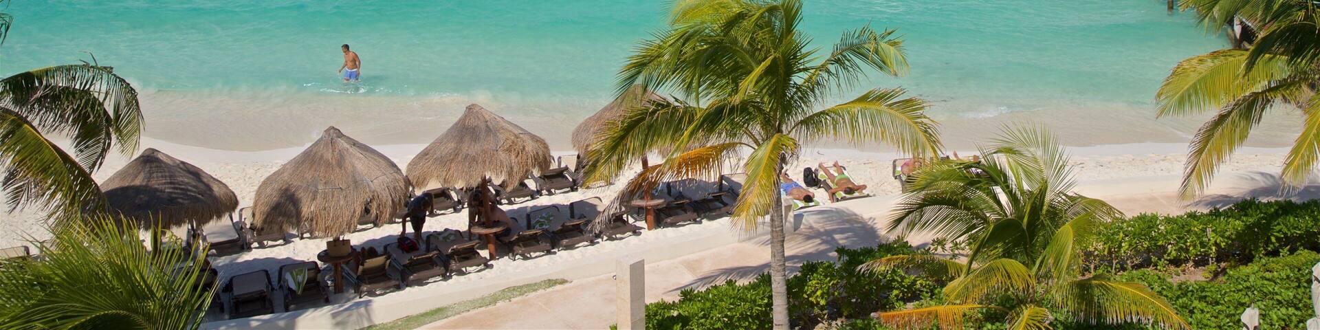 Cancún ofreciendo escenas tropicales, vistas generales de la costa y una playa de arena