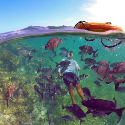 A diver surrounded by a school of fish in clear, shallow water.