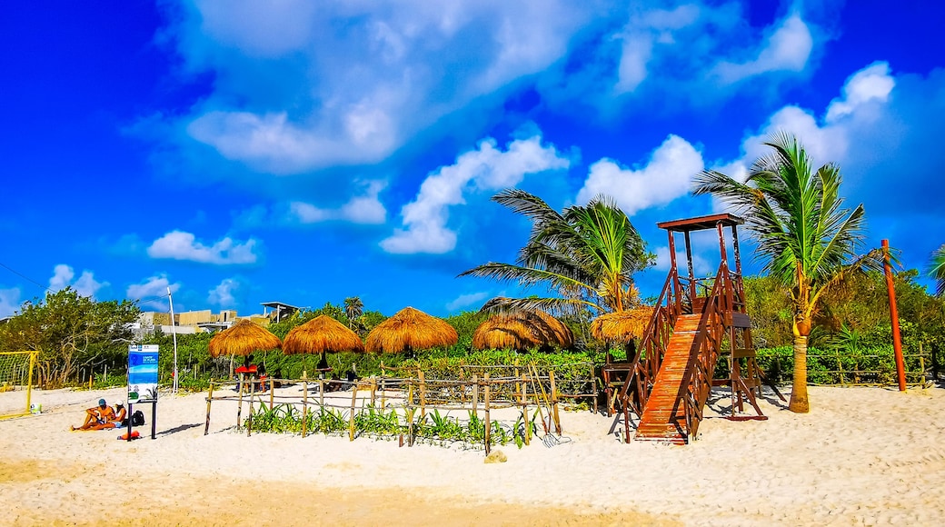Puerto Aventuras