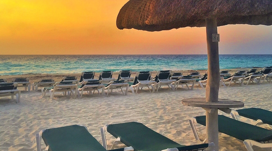 Just imagine yourself here, laying on the beach and watching this tropical sunrise over the Caribbean Sea! 🌅🌴 It doesn't get much better than this! ☀️🐠🐟🌴😀
#Cancun #Mexico #sunrise @hrhcancunofficial
