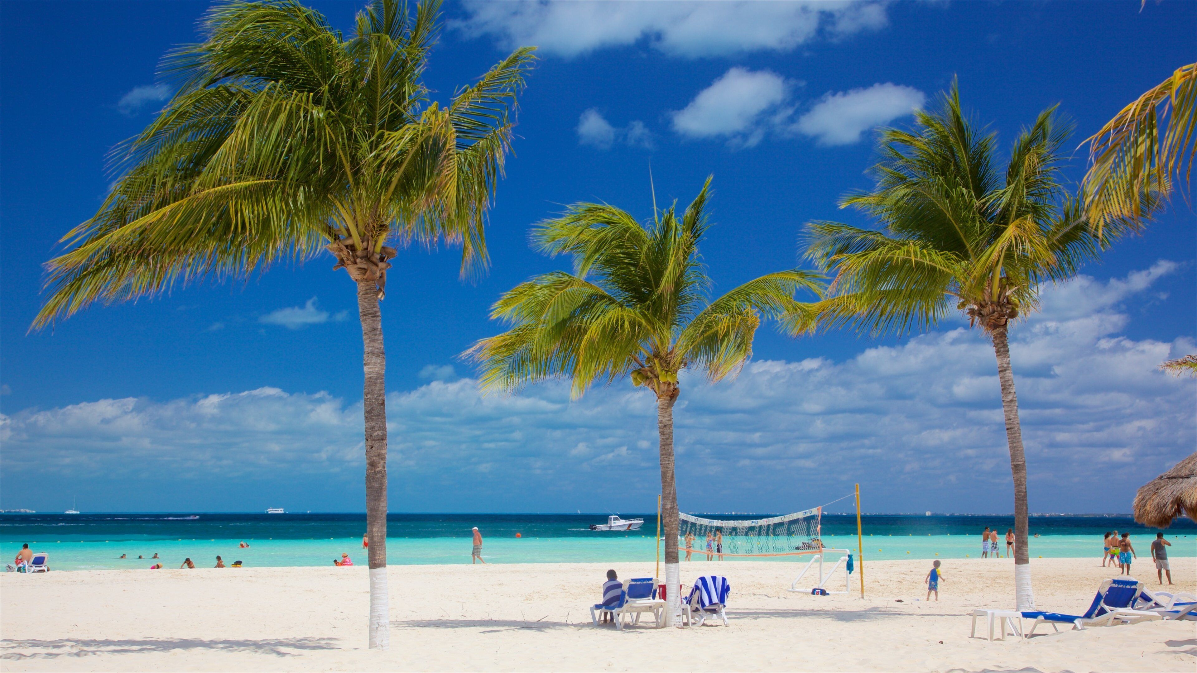 Cancun showing a sandy beach, general coastal views and tropical scenes