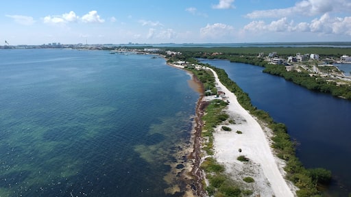 Estos senderos son hermosos y divertidos para recorrerlos en bicicleta de montaña