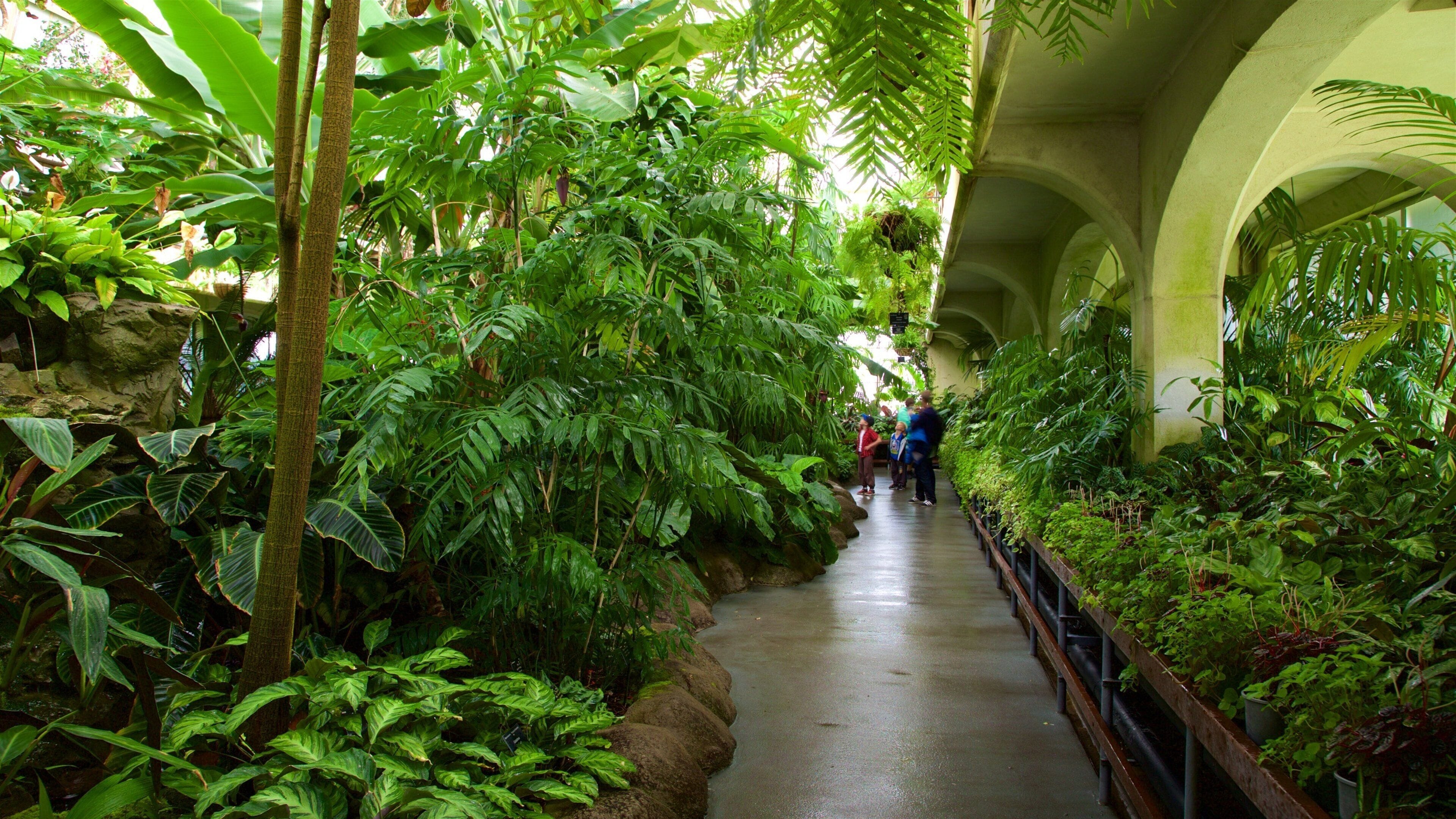 Christchurch featuring a park