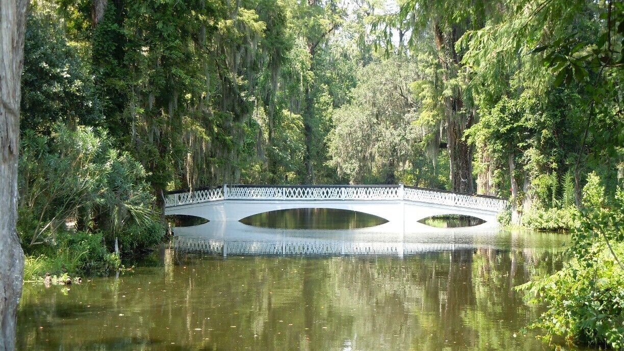 The Magnolia plantation in Charleston, SC produced the largest amount of rice for the U.S. at the height of the Civil War.
