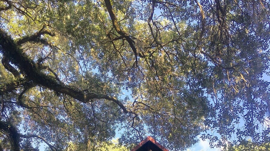 McLeod Plantation Historic Site