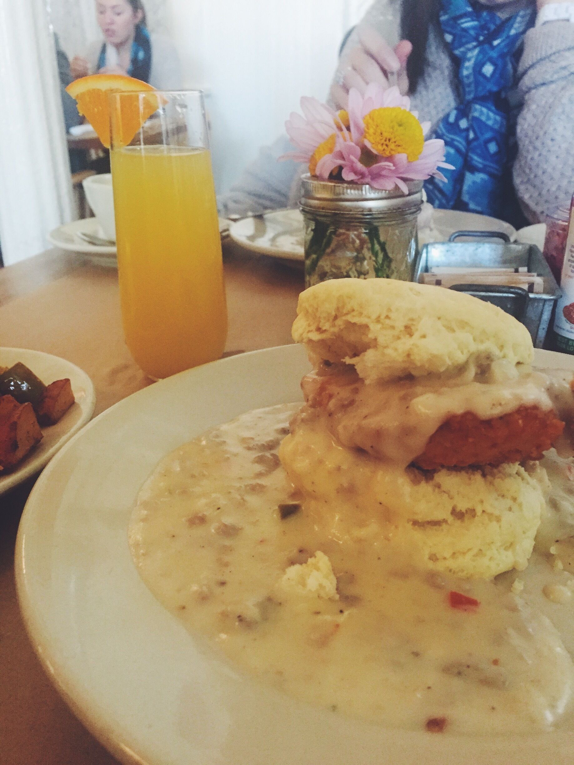 キャノンバラ エリオバラ