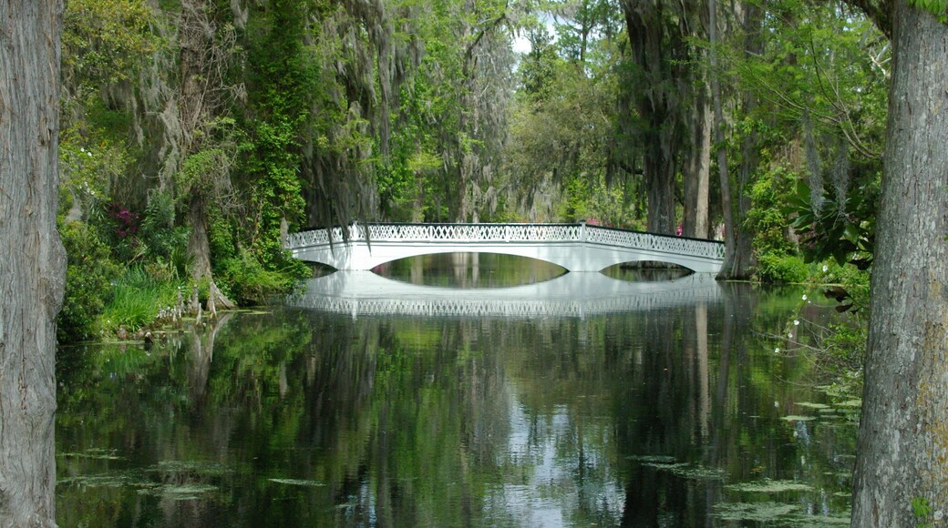 This bridge spans part of a swamp that bordered the plantation we were visiting. #OnTheRoad