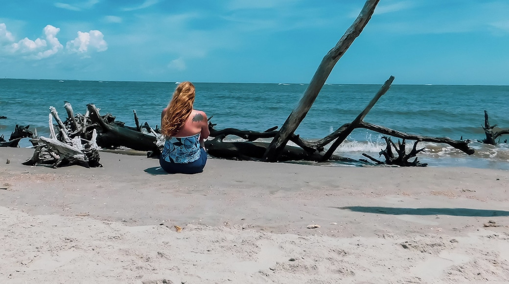 Morris Island is a hidden beach near Folly Beach, South Carolina. I love it. no tourist, the dolphins swim right next to the shore line at low tide. This beach has a lot of old sun bleached trees called the bone yard perfect for hanging a hammock. If you are ever in Folly, SC just ask the locals how to get to Morris Island Light House, as you walk up over the dudes it all becomes clear why it's a well kept secret.