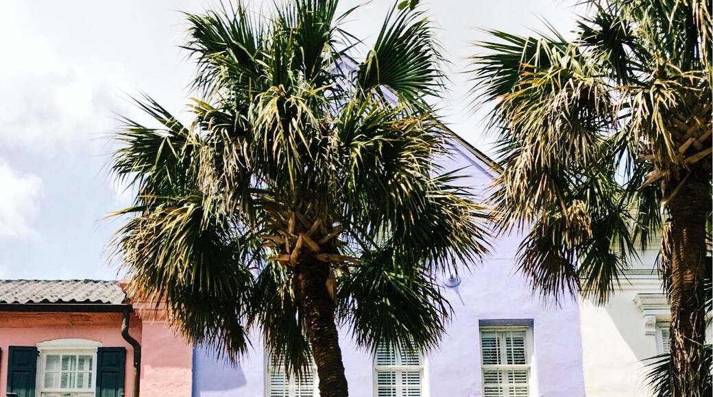 How gorgeous is this? It's incredibly easy to fall in love with the charm of Charleston.