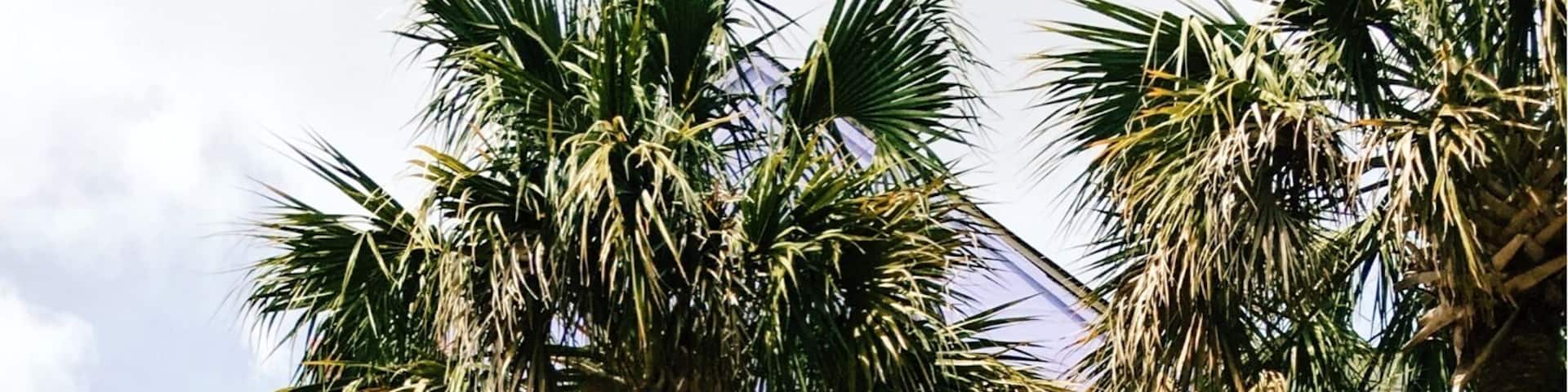 How gorgeous is this? It's incredibly easy to fall in love with the charm of Charleston.