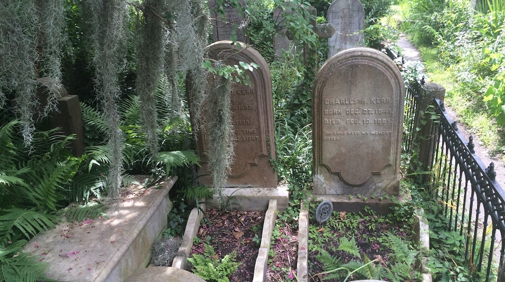 Unitarian church graveyard. One of the oldest Unitarian churches in the U.S. It is VERY overgrown.