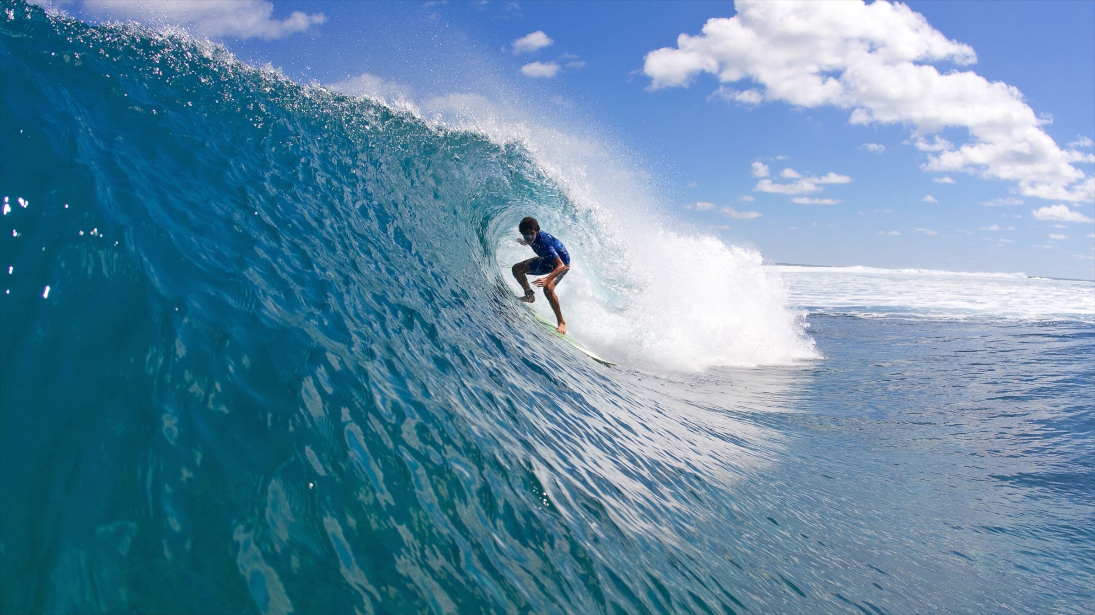 Tonga featuring surf and surfing as well as an individual male