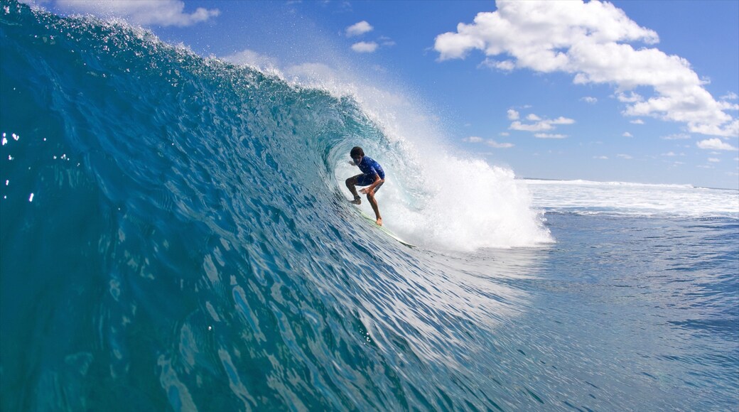 Tonga featuring surf and surfing as well as an individual male