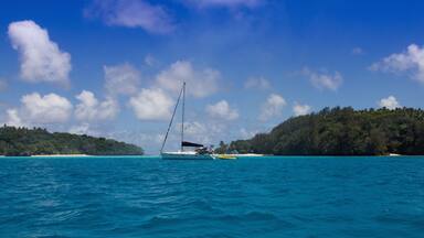 A sailboat on turquoise waters with a forested island in the background.