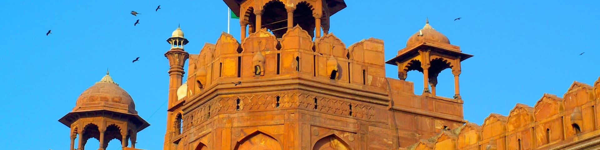 Delhi ofreciendo un castillo y arquitectura patrimonial