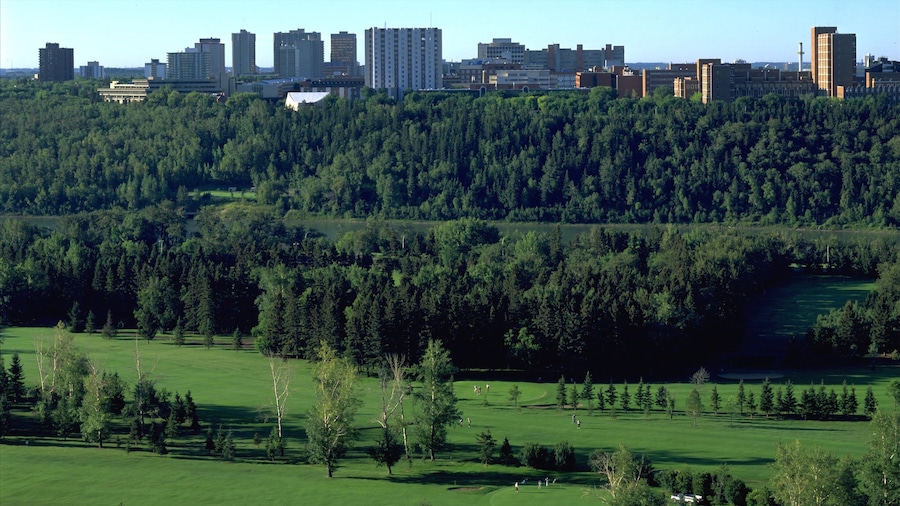 Edmonton which includes landscape views, a high-rise building and a city