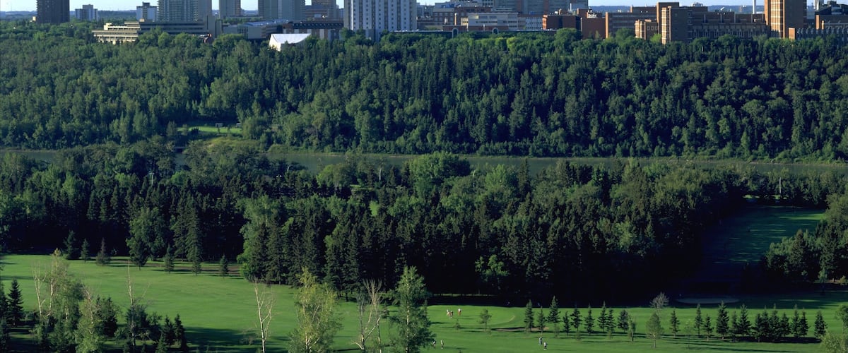 A golf course with a city skyline in the background.