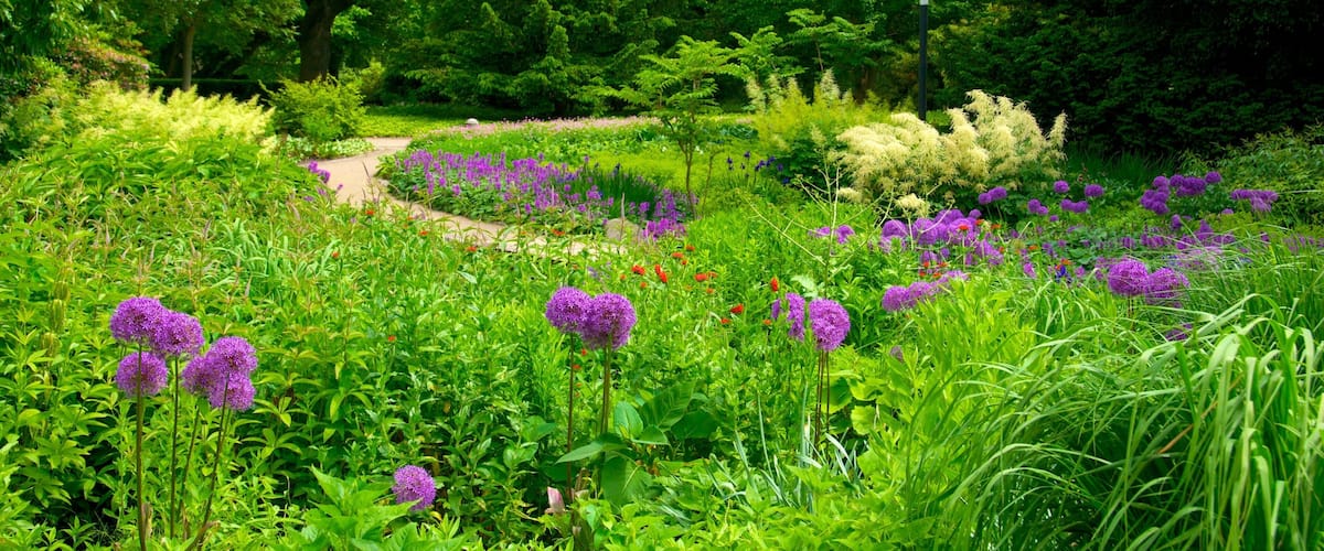 Botanical Gardens