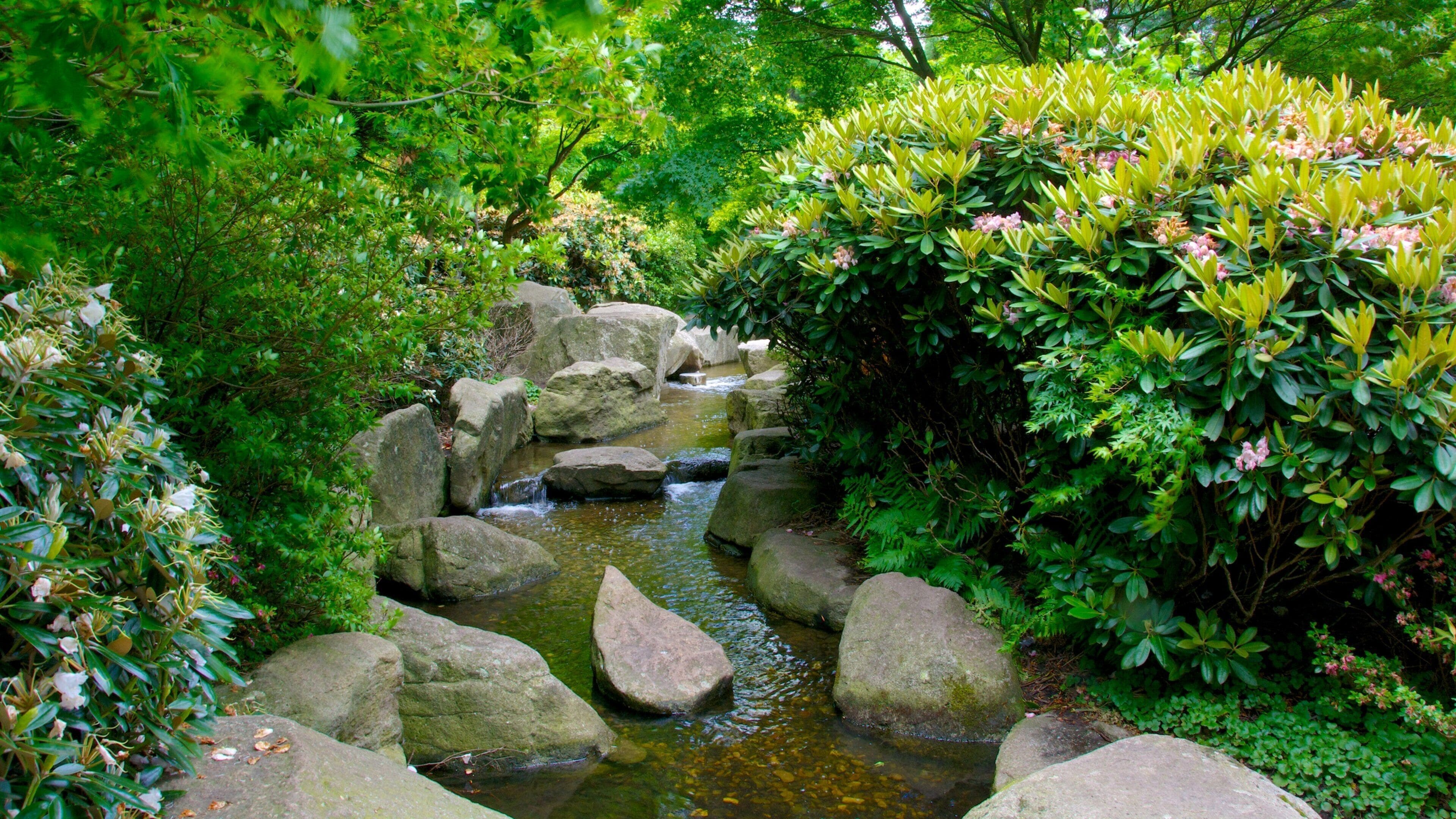 Hamburg som viser elv eller bekk og park